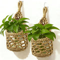 Hanging Planter Basket Holder. Wall Planters for Indoor Plants. for Up to 4 Inch Pot