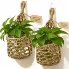 Hanging Planter Basket Holder. Wall Planters for Indoor Plants. for Up to 4 Inch Pot